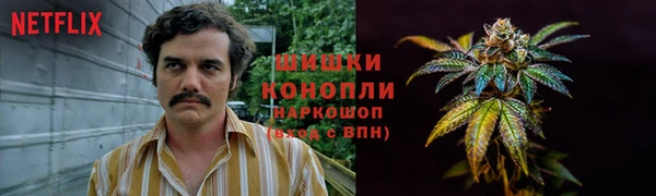 mdpv Коряжма