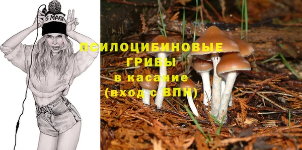 прущие крисы Краснотурьинск