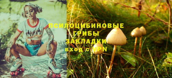 прущие крисы Краснотурьинск