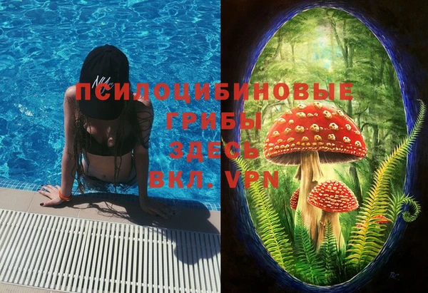 mdpv Коряжма
