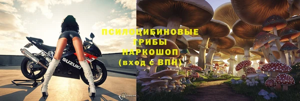 стаф Краснослободск
